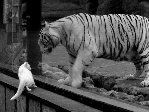 mk体育平台官网-凯尔·查默斯技术动作精准完美，查尔斯&amp;凯斯