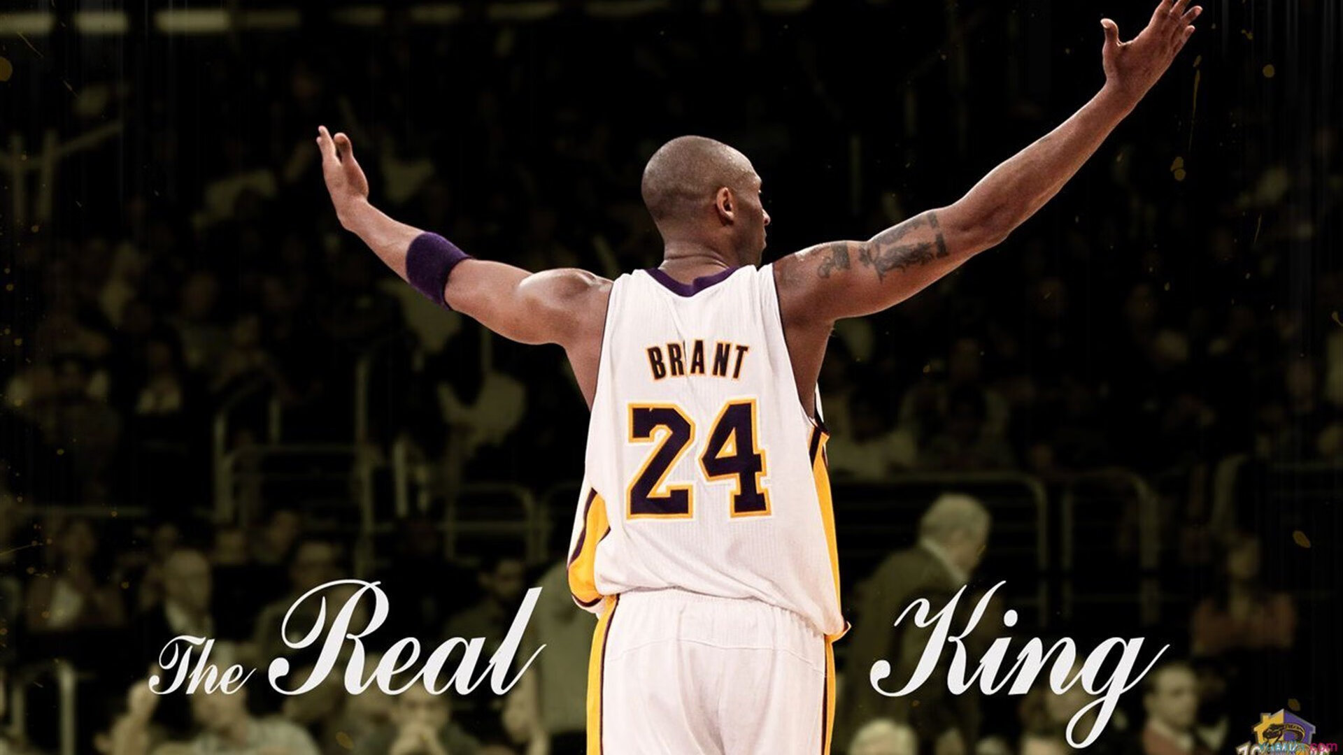 南非羚羊队:精妙的战术与身体素质的结合让他们屡屡获得优势,非洲小羚羊