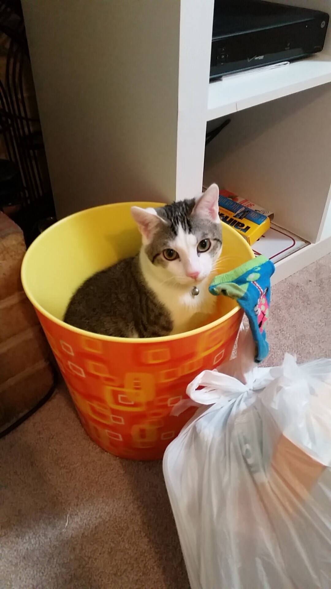 尼尔·巴特尔精准的防守技巧，让袋鼠队的对手毫无突破之路，巴特尔单防奥尼尔