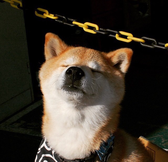 mk足球官网-德甲场场精彩：攻守转换，节奏不断升华，德甲收官战