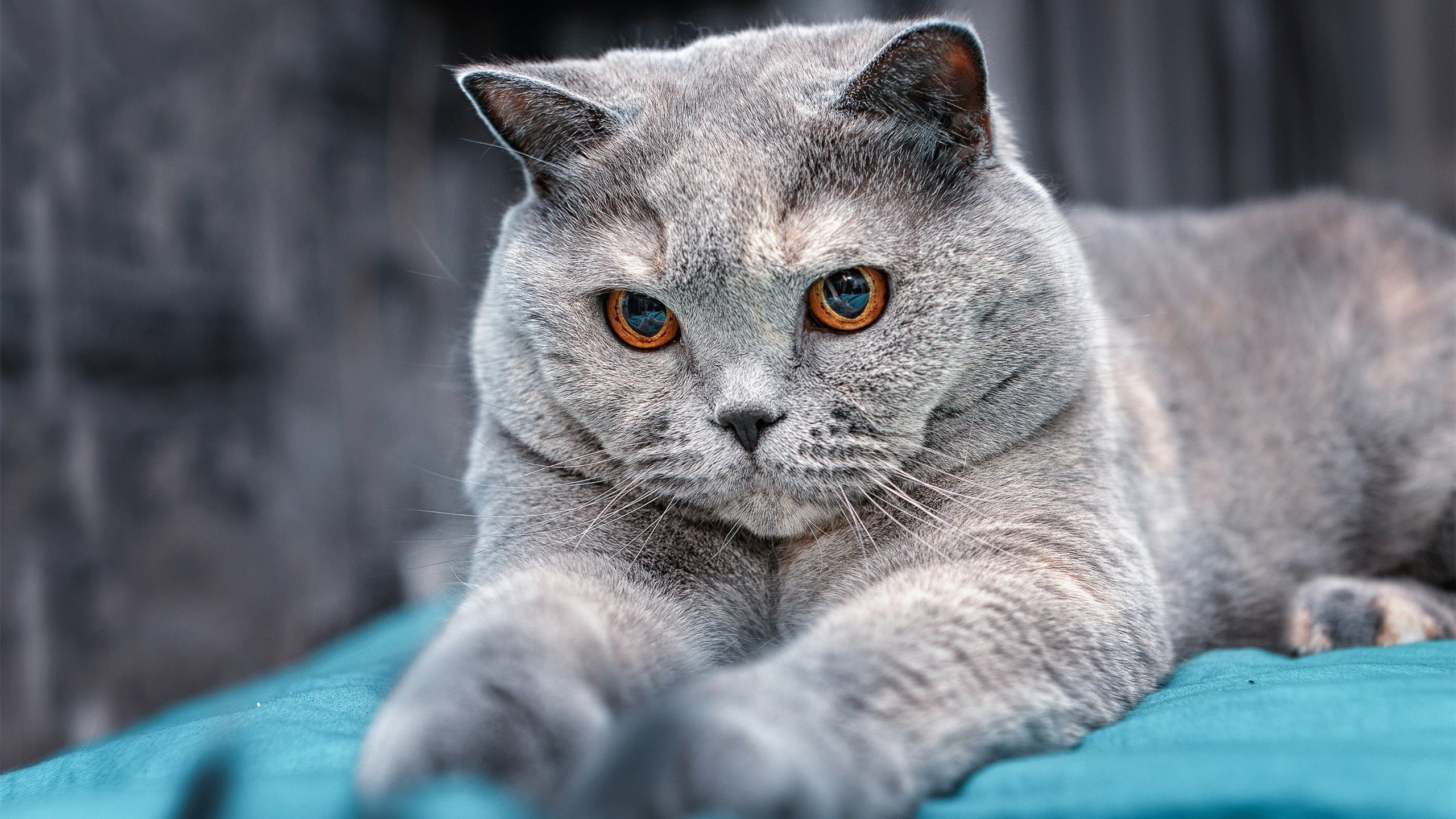 mk体育官网入口-青训梯队开展心理抗压课程培养球员比赛心态管理