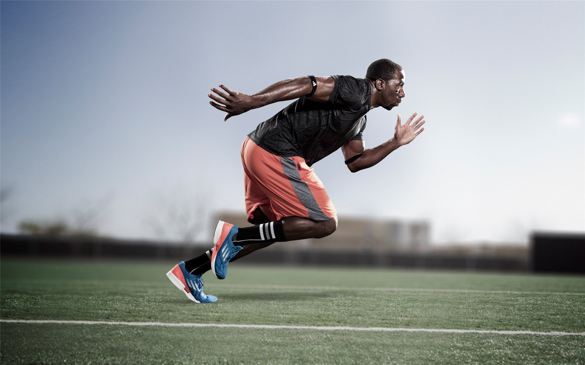 “体育进校园”多项目公开测评 学生记录一年成长数据